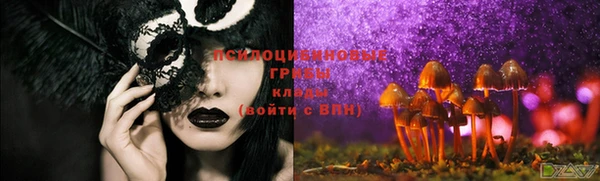 первитин Каменногорск
