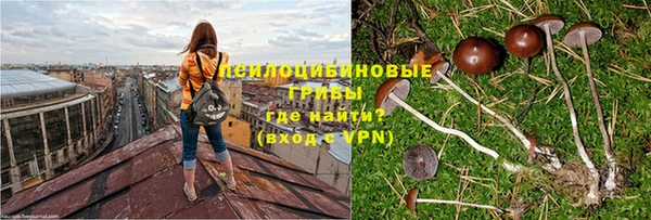 первитин Каменногорск