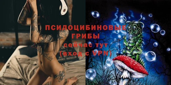 МДМА Каменка