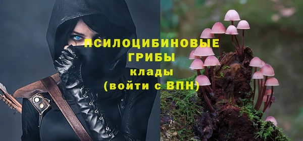 МДМА Каменка