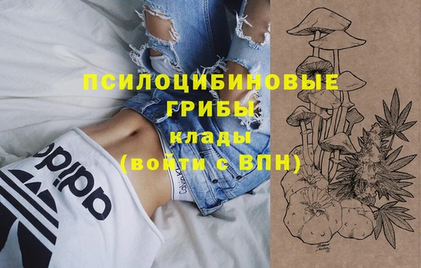 первитин Каменногорск