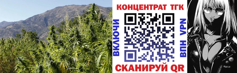 Купить закладки  Зерноград  Дистиллят ТГК вейп 