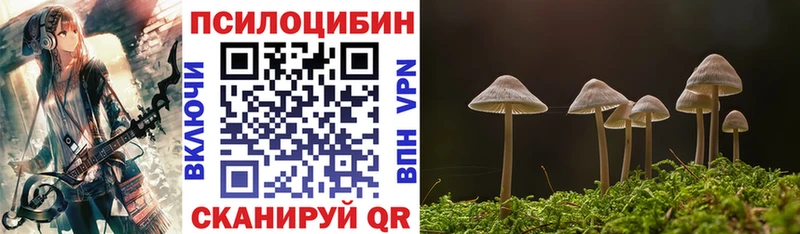 Купить где  Зерноград  Псилоцибиновые грибы GOLDEN TEACHER 